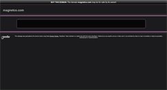 Desktop Screenshot of magnetco.com